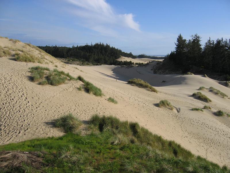 Oregon Dunes (3).JPG